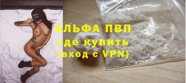 a pvp Магас