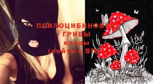 a pvp Магас