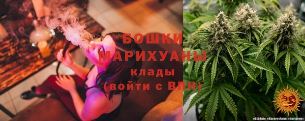 a pvp Магас