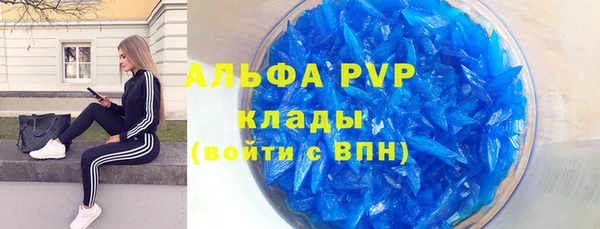 a pvp Магас