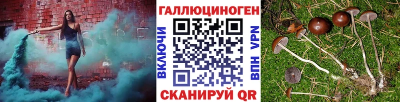 наркошоп  Дмитровск  Псилоцибиновые грибы прущие грибы 